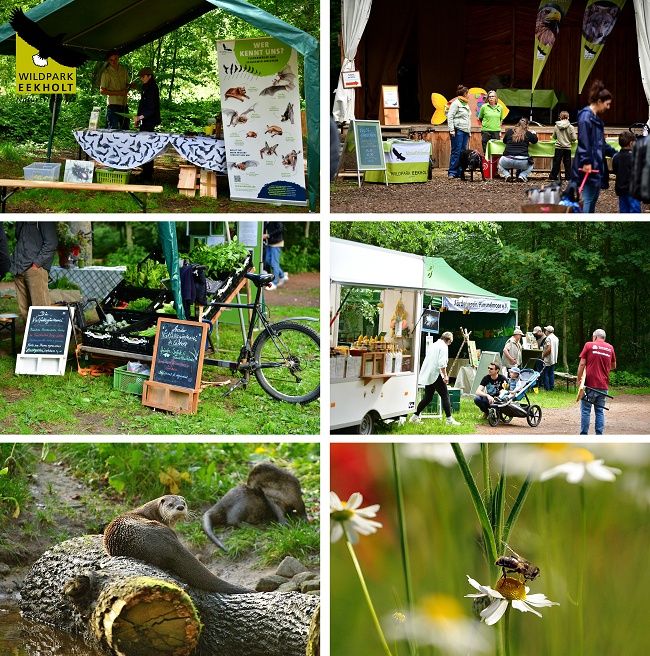 Biodiversit&auml;tstag in Eekholt